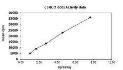 Eurofins DiscoverX Src (1-530) Protein, Active 10 &mu;g | Buy Online | Eurofins DiscoverX | Fisher Scientific